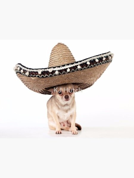 Чихуахуа Ацтеки