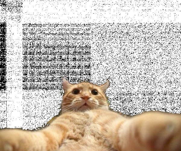 Джонни Кэтсвилл Мем оригинал