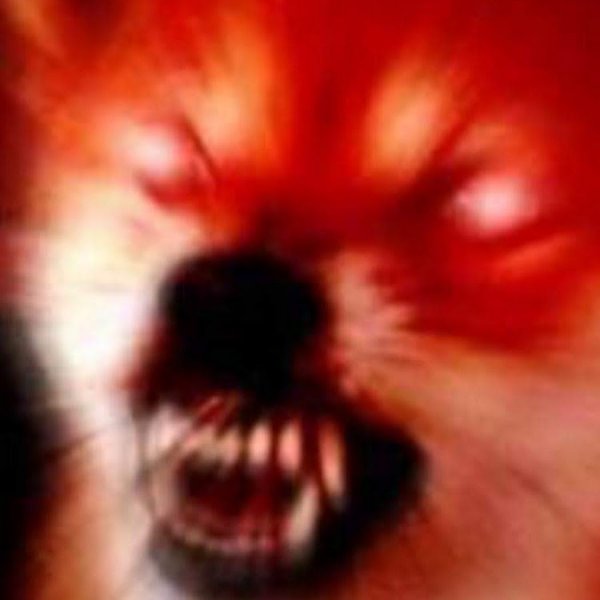 Горящие глаза