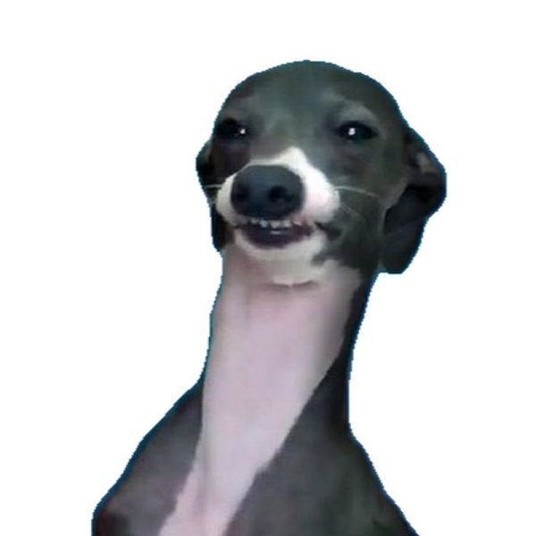 Кермит снуп дог