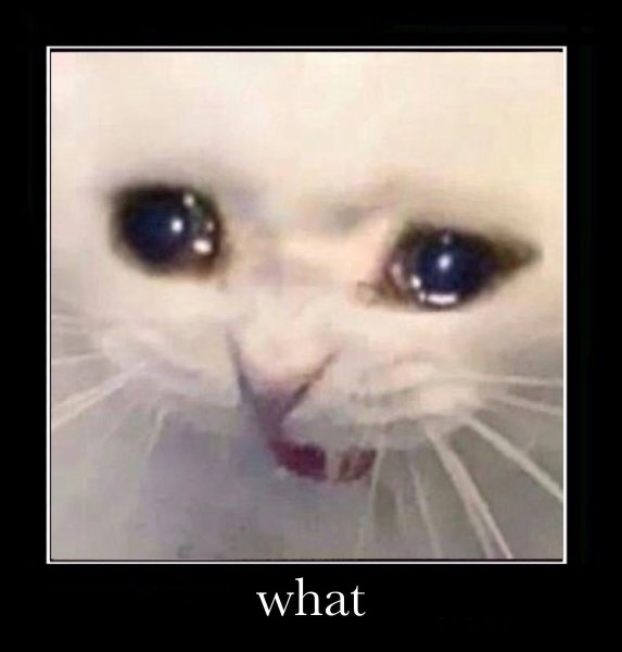 Кот плачет Мем