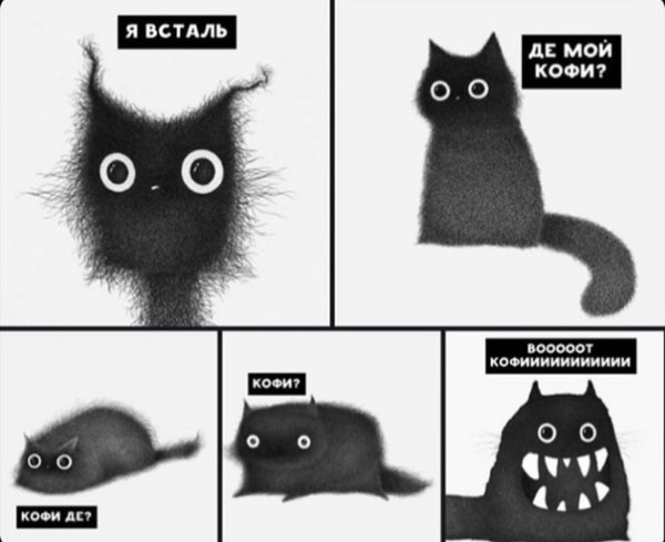 Коты мемы