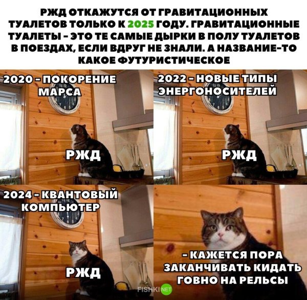 Мемы про котов
