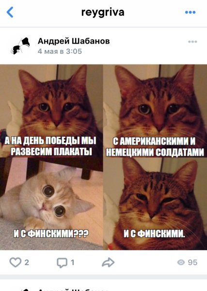 Мемы с котами про понедельник