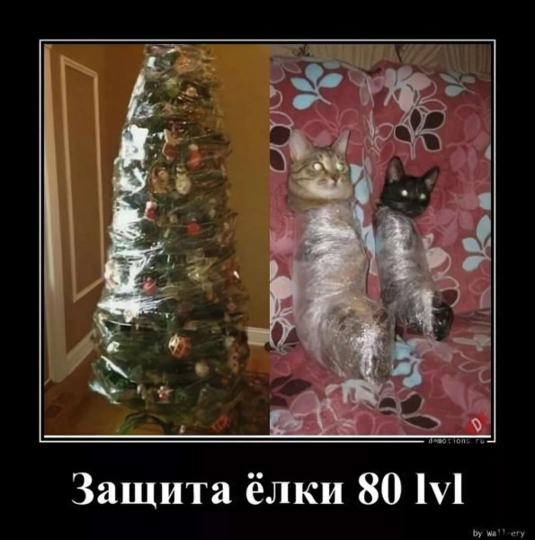 Елка демотиватор