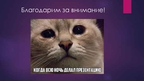 Картинка спасибо за внимание