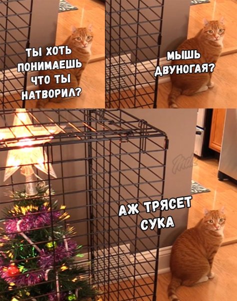 Клетка для кота