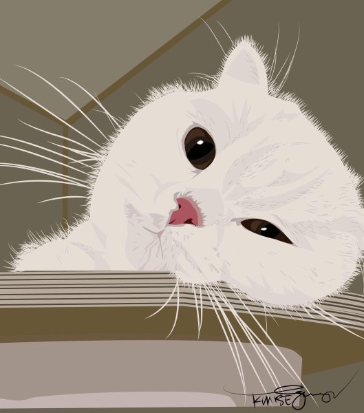 Милый котик