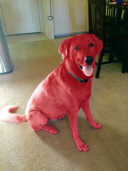 Красная собака порода