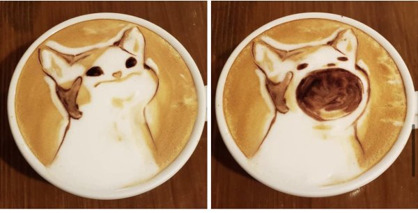 Доброе утро с котом и кофе