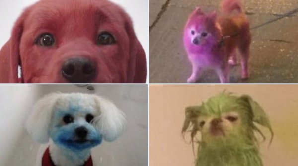 Фильм про большую собаку 2021