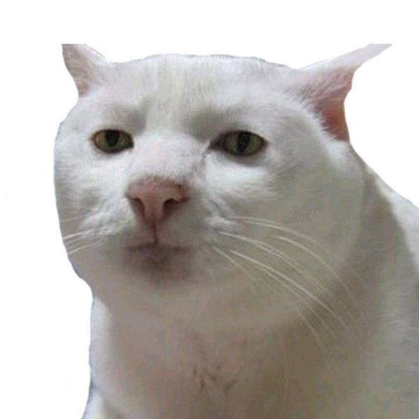 Плачущий кот