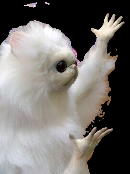 Белый зверек с руками