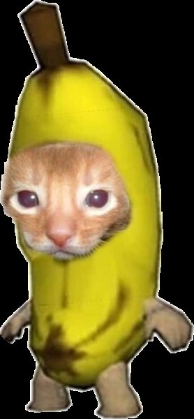 Банановый кот