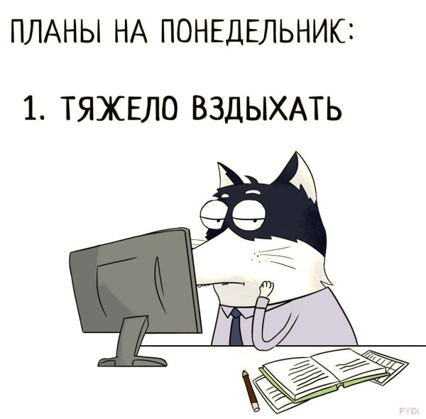Понедельник с котом