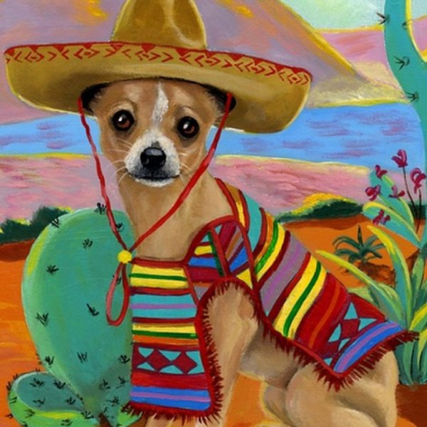 Чихуахуа Мексика