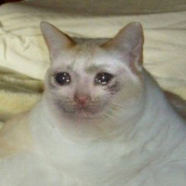 Кот с заплаканными глазами