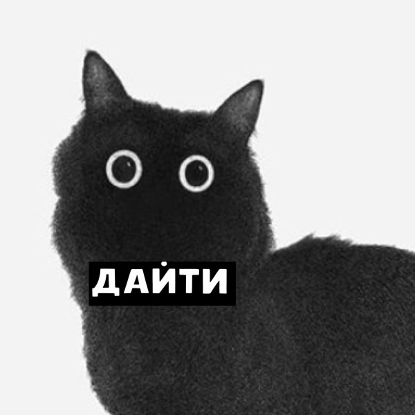 Кот Мем
