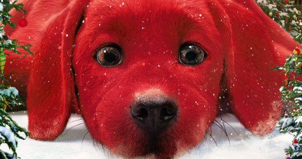 Клиффорд фото красный пёс