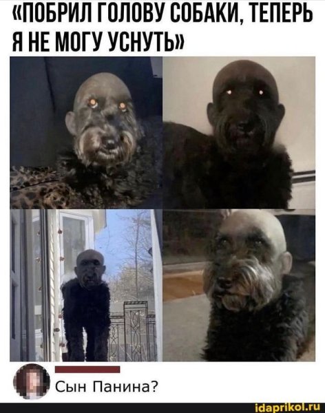 Смешные картинки