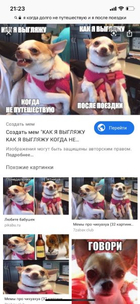 Голодная собака Мем