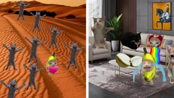 Кот персонаж