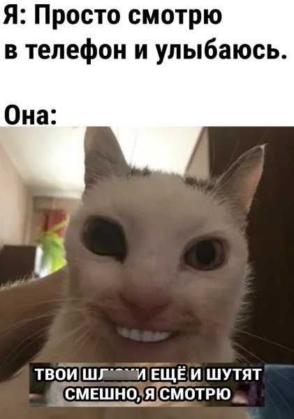 Кот улыбается с зубами человеческими