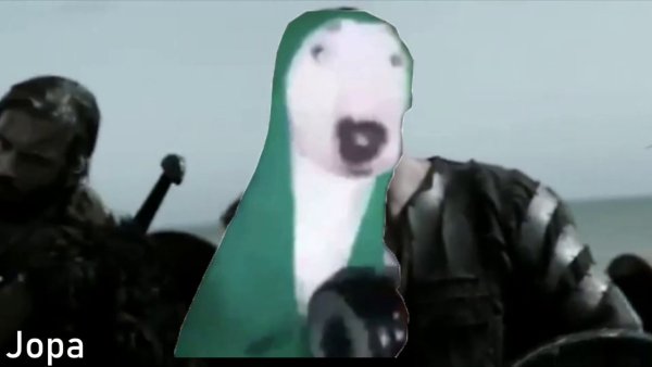 Собака стучит по сковородке