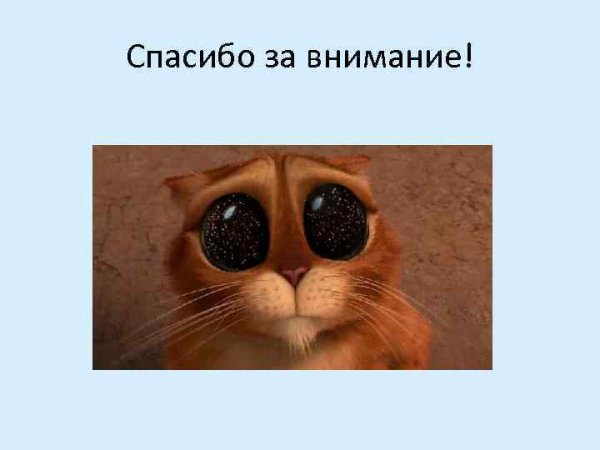 Прикольный слайд спасибо за внимание