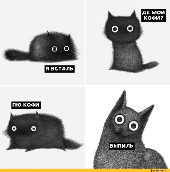 Коты и кофе мемы