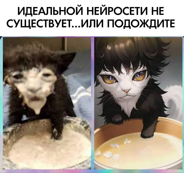 Кот у которого морда в сметане