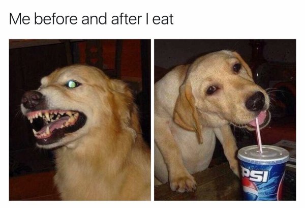 Голодный поел Мем