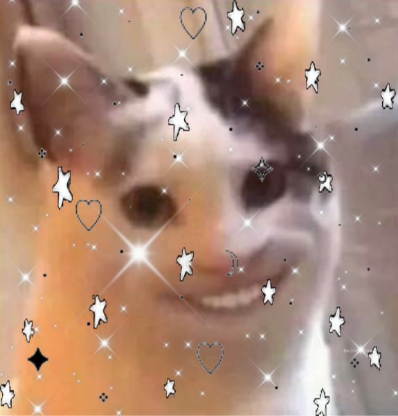 Кот улыбается Мем