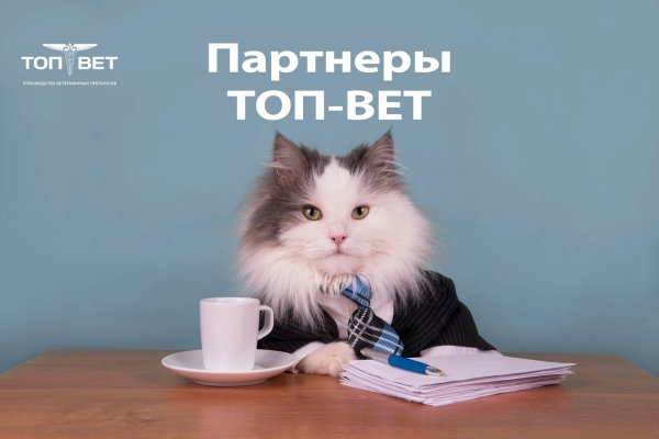 Концовка для презентации