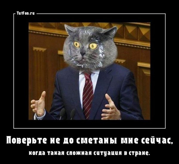 Не до сметаны нам сейчас