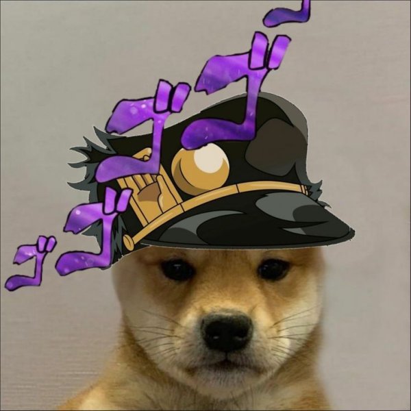 Собака Джо Джо ава