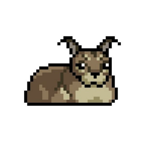 Питомцы соул кнайт