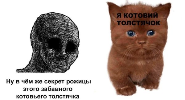 6 Котовьих лет