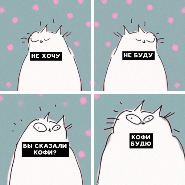 Кофе Мем с котом
