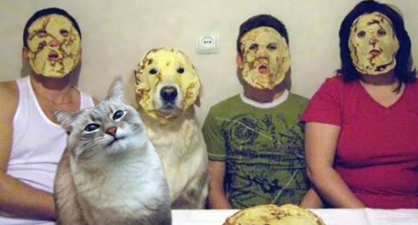 Кот с блином на лице