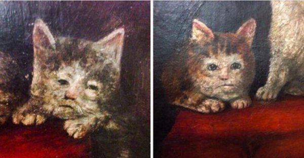 Коты с человеческими лицами живопись
