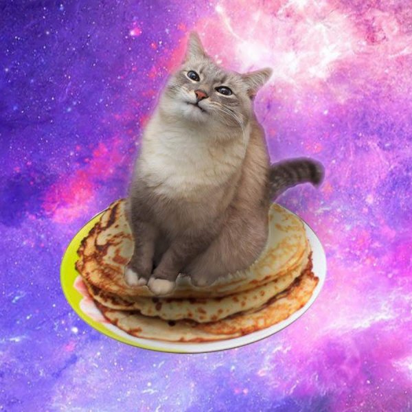 Кот с блинами