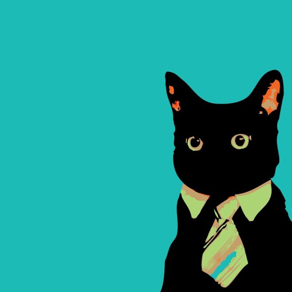 Благодарю за внимание котик