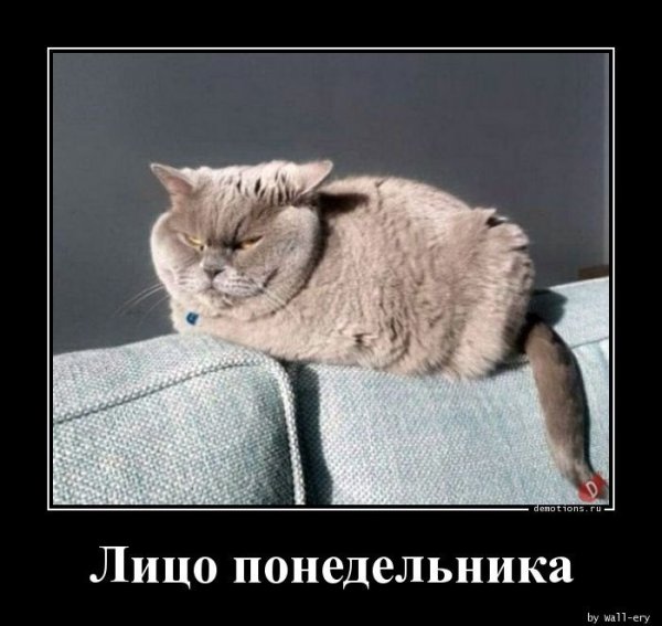 Демотиваторы понедельник утро