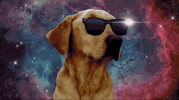 Крутая собака