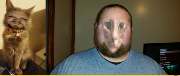 Кот с человеческим лицом