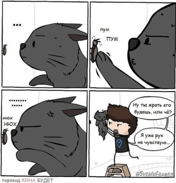 Котовья мать