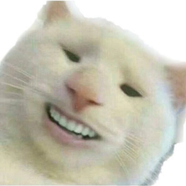 Кот улыбается с зубами