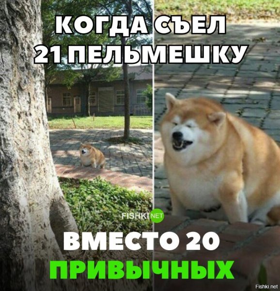 Бахнув пельменей Мем