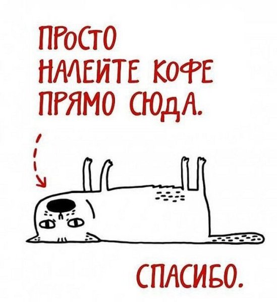 Налейте кофе прямо сюда кот